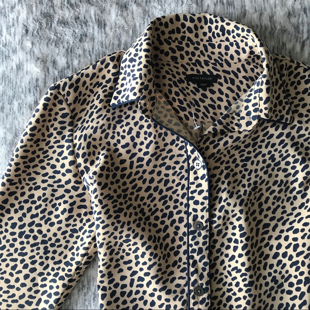 Ann Taylor Leopard-Print Shirt Dress